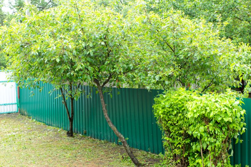 Chain Link Fence Painting in Waco, TX