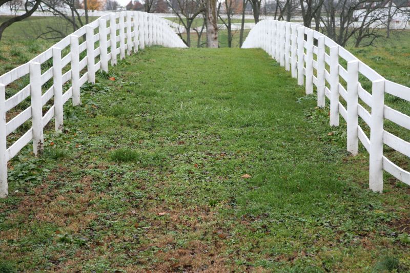 Livestock Fence Painting in Waco, TX